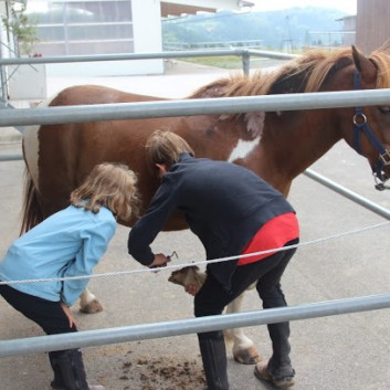 Ferientag auf der CV-Ponyfarm im Juli 2013 - 03