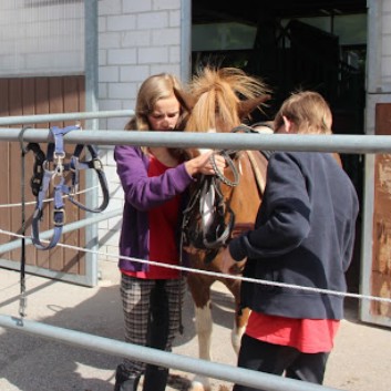 Ferientag auf der CV-Ponyfarm im Juli 2013 - 05