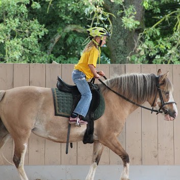 Ferientag auf der CV-Ponyfarm im Juli 2013 - 10