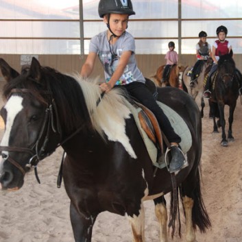 Ferientag auf der CV-Ponyfarm im Juli 2013 - 15