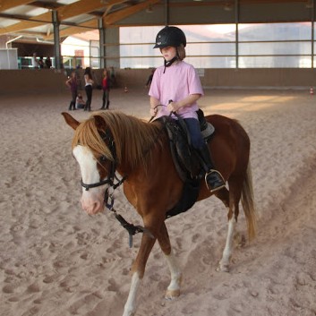 Ferientag auf der CV-Ponyfarm im Juli 2013 - 17