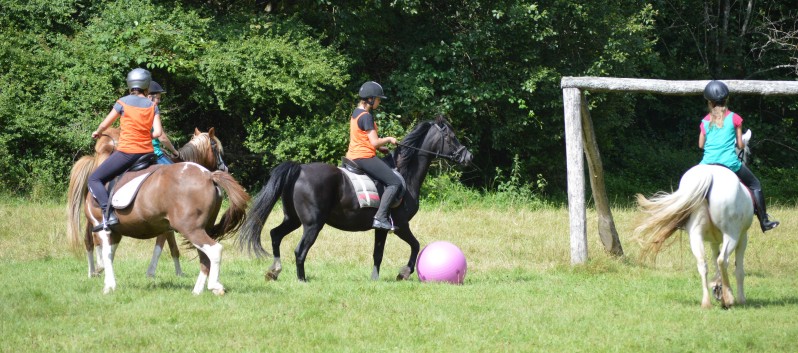 Pferdefussball mit den Ponys der CV Ponyfarm 10