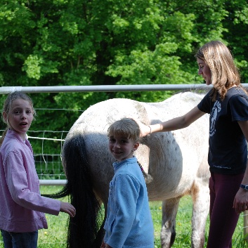 Pony pflegen und putzen auf der CV-Ponyfarm 01