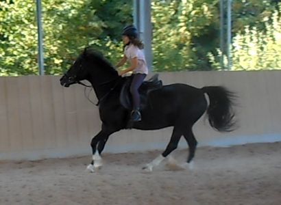 Reiterferien CV Ponyfarm im Galopp durch die Reithalle