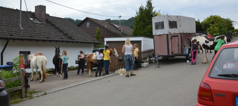 Reiterferien auf der CV-Ponyfarm 2015 - 08