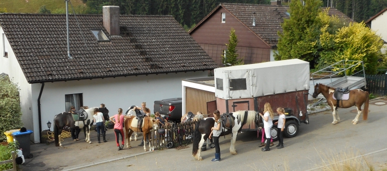 Reiterferien auf der CV-Ponyfarm 2015 - 10