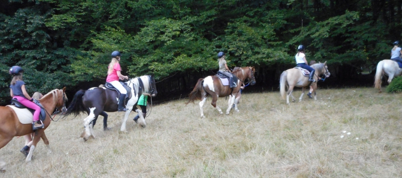 Reiterferien auf der CV-Ponyfarm 2015 - 14