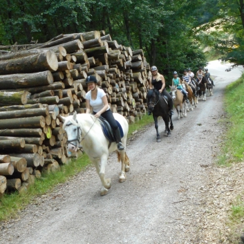 Reiterferien auf der CV-Ponyfarm 2015 - 17