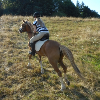 Reiterferien auf der CV-Ponyfarm 2015 - 18