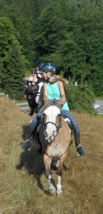Reiterferien auf der CV-Ponyfarm 2015 - 19