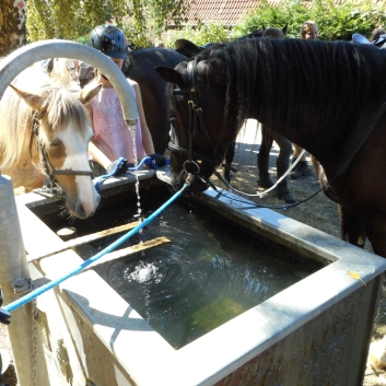 Reiterferien auf der CV-Ponyfarm 2015 - 20
