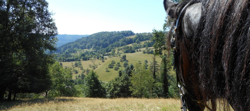 Reiterferien auf der CV-Ponyfarm 2015 - 21