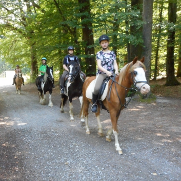 Reiterferien auf der CV-Ponyfarm 2015 - 23