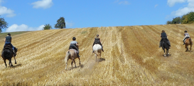 Reiterferien auf der CV-Ponyfarm 2015 - 28