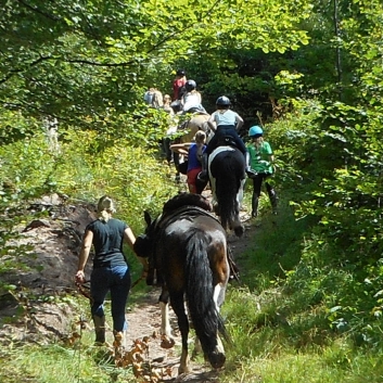 Reiterferien auf der CV-Ponyfarm 2015 - 31