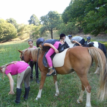 Reiterferien auf der CV-Ponyfarm 2015 - 35