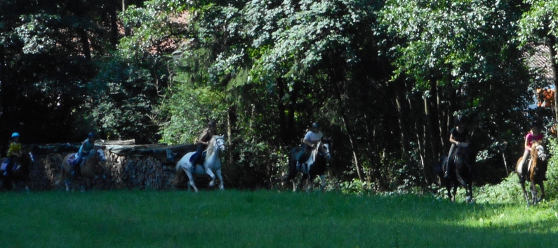 Reiterferien auf der CV-Ponyfarm 2015 - 36