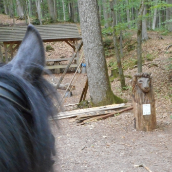 Reiterferien auf der CV-Ponyfarm 2015 - 41