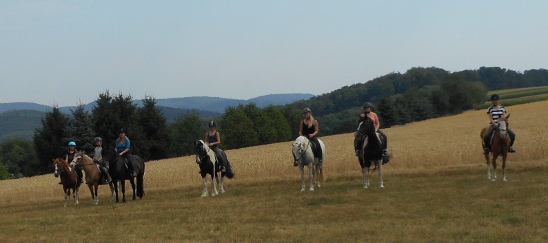 Reiterferien auf der CV-Ponyfarm 2015 - 43