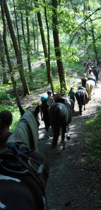 Reiterferien auf der CV-Ponyfarm 2015 - 44