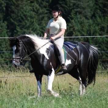 Relaxen und Entspannen auf den Ponys der CV Ponyfarm in Murrhardt - Hinterbchelberg 10