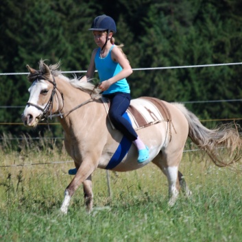 Relaxen und Entspannen auf den Ponys der CV Ponyfarm in Murrhardt - Hinterbchelberg 11