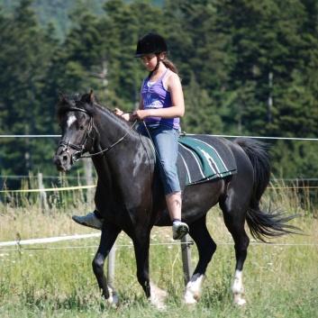 Relaxen und Entspannen auf den Ponys der CV Ponyfarm in Murrhardt - Hinterbchelberg 12