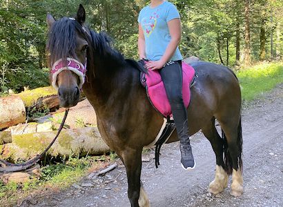 Schulpony Bella - Ausritt Juni 2020