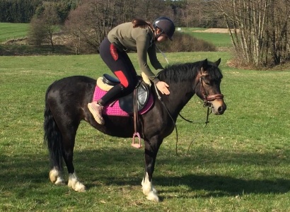 Schulpony Bella 02