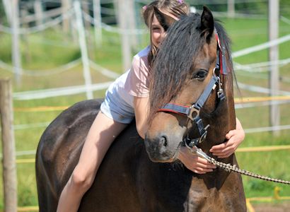 Schulpony Bella beim Fotoshooting Juni 2020