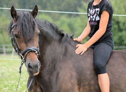 Schulpony Bella beim Fotoshooting Sommer 2019