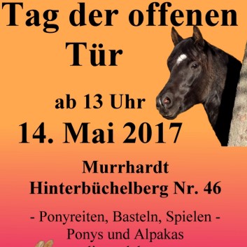 Tag der offenen Tuer CV Ponyfarm 01
