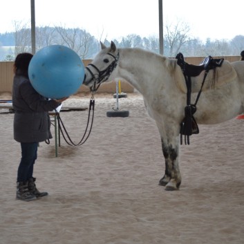 Trailtag der CV Ponyfarm 2013 - 08