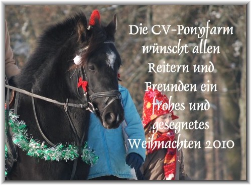 Weihnachtskarte-2010-1